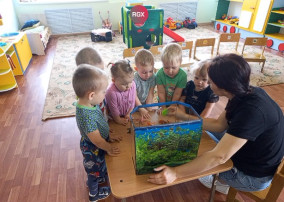 Рыбки Рыбки.