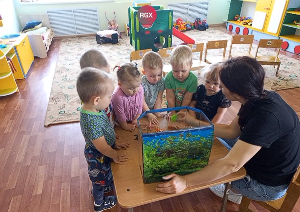 Рыбки Рыбки.